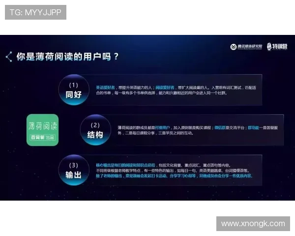 围绕激烈F1赛季争冠走势最新深度解析与车队动态观察报道全景篇